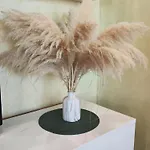Aurora شقة زادار